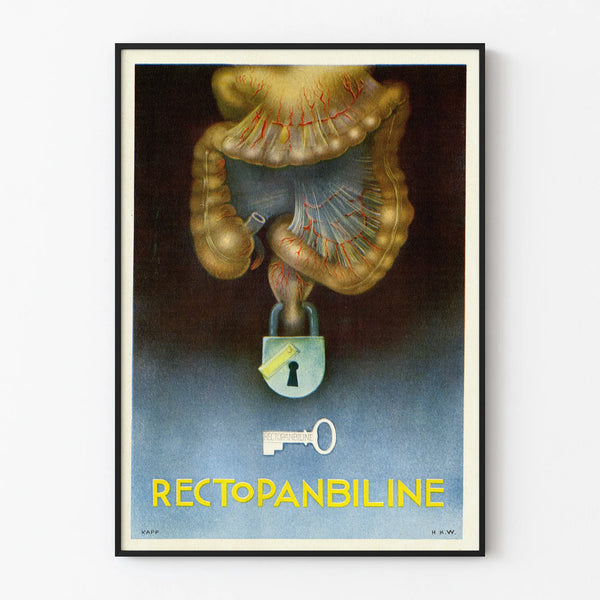 Vintage Medical Poster Rectopanbiline Anatomical Illustration