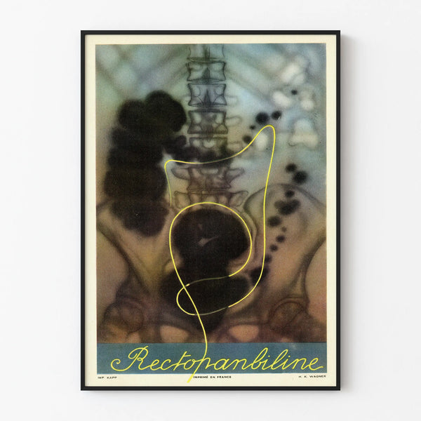 Vintage medical anatomy poster Rectopanbiline