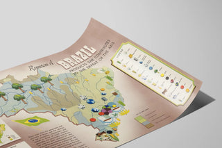 Vintage poster of Brazil's natural resources — artwork view