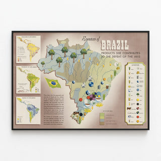 Vintage poster of Brazil's natural resources — framed artwork on a wall