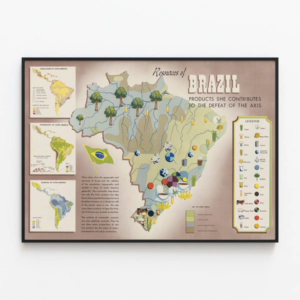 Vintage poster of Brazil's natural resources — framed artwork on a wall