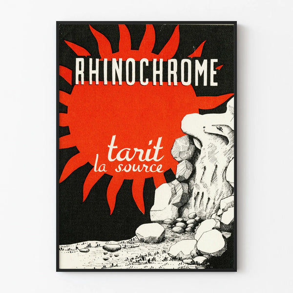 Vintage Graphic Wall Decoration Poster Rhinocrome Tarit the Source