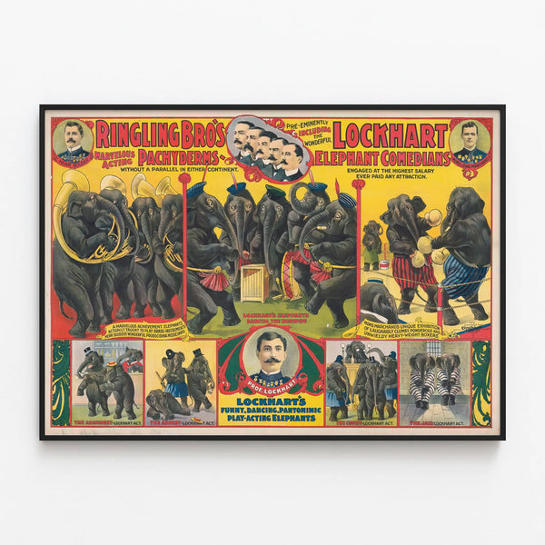 Vintage poster of Ringling Bros - Elephants performers Lockhart in show — framed artwork on a wall