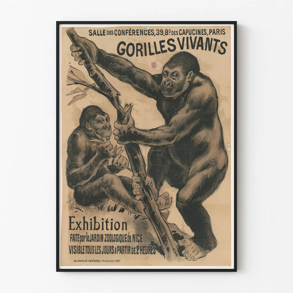 Vintage Poster of Living Gorillas - Animal Wall Decoration