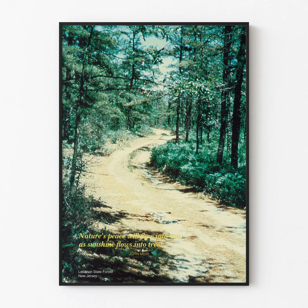 Poster Nature and Serenity - Lebanon State Forest, New Jersey