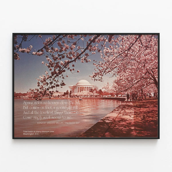 Cherry Blossom Tidal Basin Poster in Washington DC — framed artwork on a wall