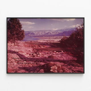 Colorful Natural Landscape Poster Washington DC — framed artwork on a wall