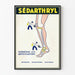 Vintage Sédarthryl poster for joint relief
