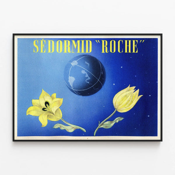 Vintage poster Sédormid Roche – Retro wall decoration — framed artwork on a wall