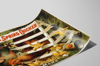 Vintage humorous poster 'A Spring Chicken' Selden — artwork view