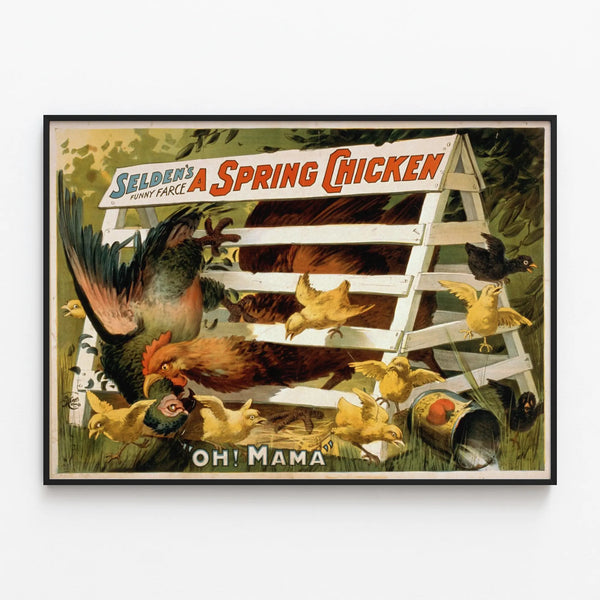 Vintage humorous poster 'A Spring Chicken' Selden — framed artwork on a wall