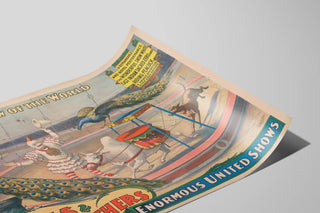 Vintage poster of Sells Brothers: spectacle of the white zebu and peacock — artwork view