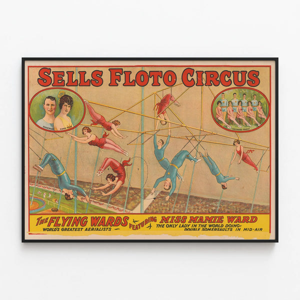 Vintage poster Sells Floto Circus - The Flying Wards with Miss Mamie Ward — framed artwork on a wall