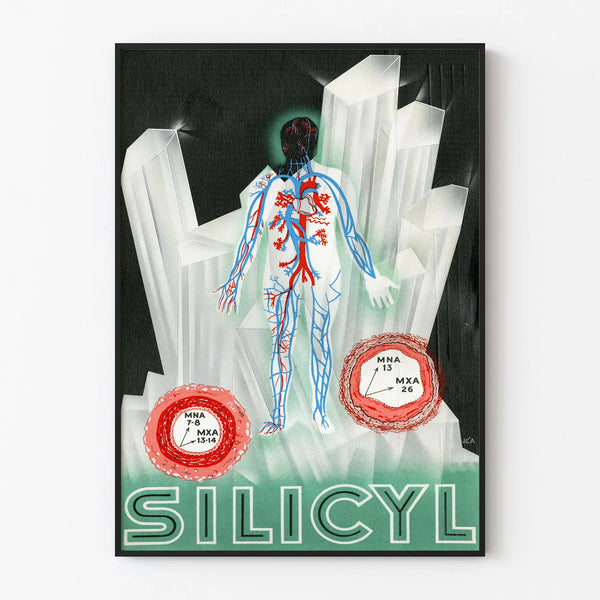 Vintage poster Silicyl - Anatomical illustration and crystals