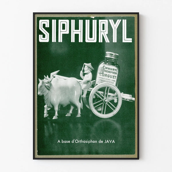 Vintage poster advertising Siphuryl diuretic based on Orthosiphon of Java