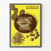Vintage poster of Sulfuryl Monal - Sulfurous medication
