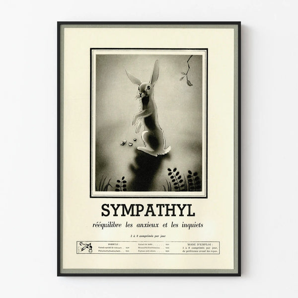Vintage Sympathyl Rabbit Poster for Soothing Wall Decoration