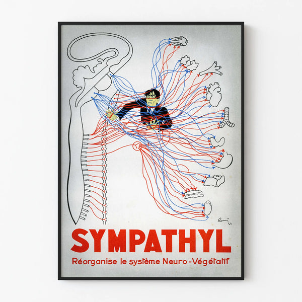Vintage medical poster of the neurovegetative system Sympathyl
