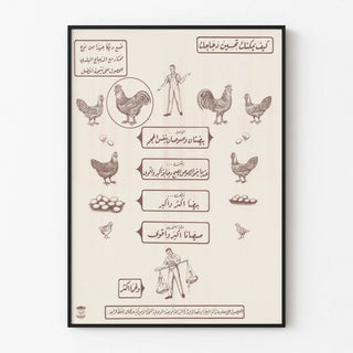 Vintage Poster on Chicken Rearing and Breeding