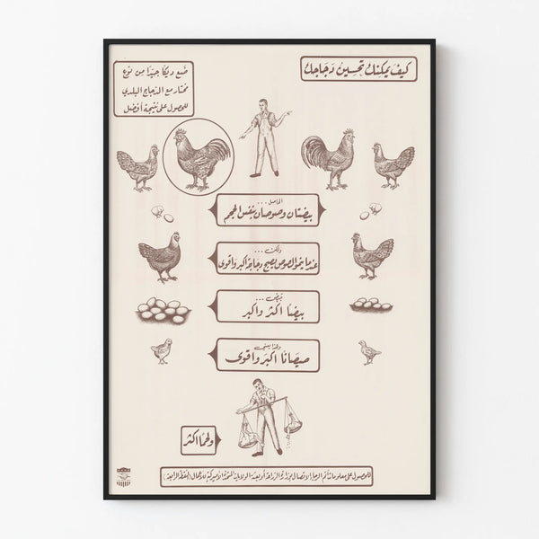 Vintage Poster on Chicken Rearing and Breeding