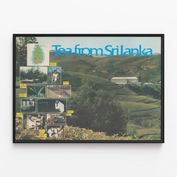 Vintage poster Tea from Sri Lanka - Botanical-inspired wall decoration — framed artwork on a wall