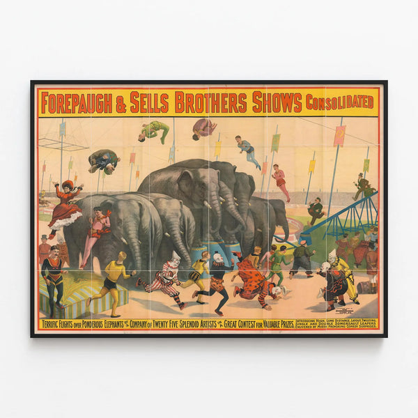 Poster Circus Elephants and Acrobats - Forepaugh & Sells Brothers Shows — framed artwork on a wall