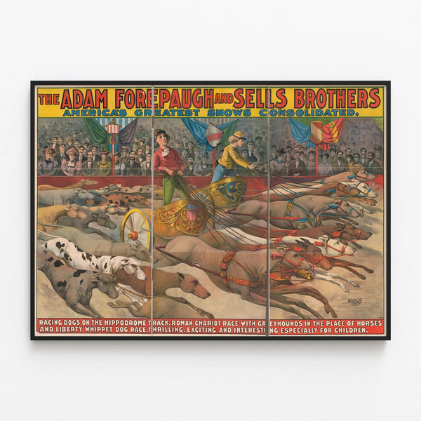 Vintage poster of a greyhound race at the racetrack - Adam Forepaugh & Sells Brothers — framed artwork on a wall