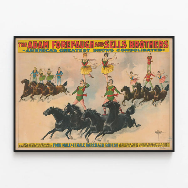 Vintage poster of an equestrian show Adam Forepaugh and Sells Brothers — framed artwork on a wall