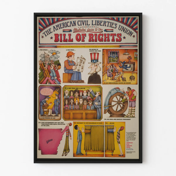 Illustrated American Civil Rights Poster - Bill of Rights Guide
