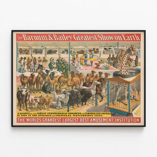 Vintage Barnum & Bailey Poster - The Greatest Show on Earth — framed artwork on a wall