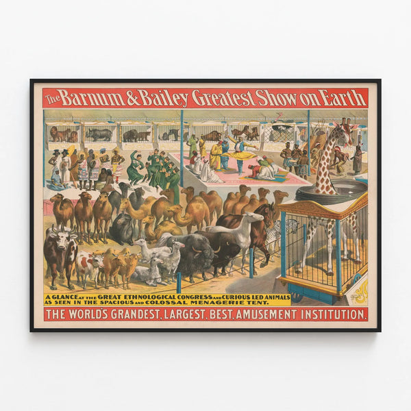Vintage Barnum & Bailey Poster - The Greatest Show on Earth — framed artwork on a wall