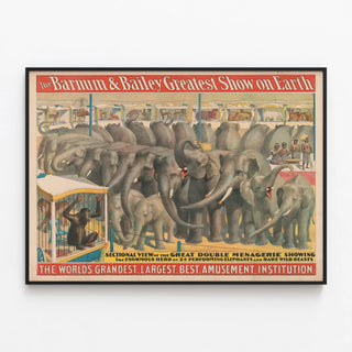 Vintage Barnum & Bailey Poster - Circus and Elephant Menagerie — framed artwork on a wall