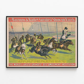 Vintage Barnum & Bailey Poster - Monkey Race on Shetland Ponies — framed artwork on a wall