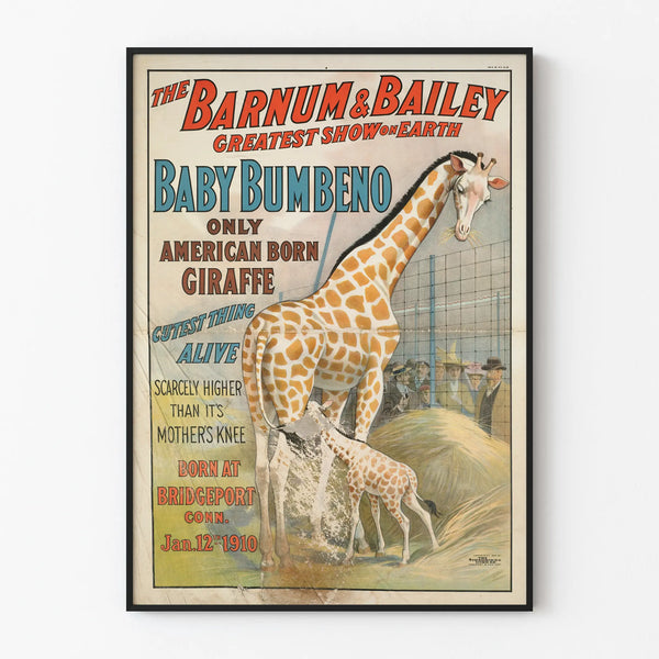 Vintage Poster Cirque Barnum & Bailey Giraffe Baby Bumberno