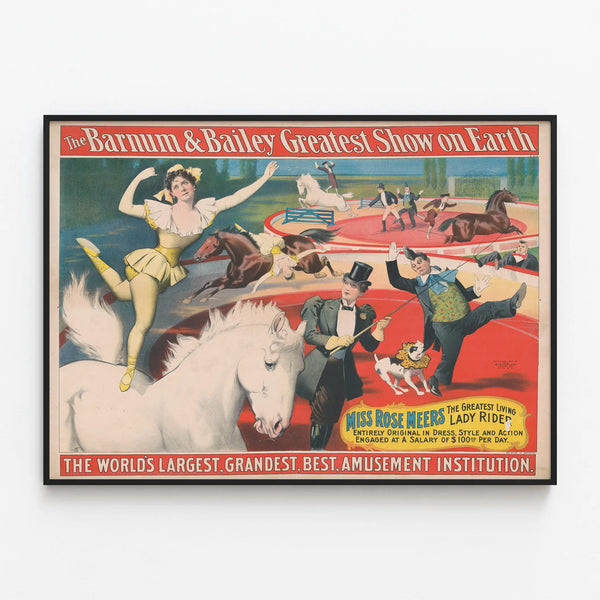 Vintage poster Barnum & Bailey Greatest Show on Earth - Miss Rose Meers, exceptional horsewoman — framed artwork on a wall