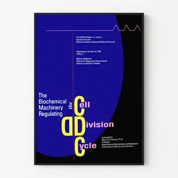 Decorative Poster on the Cell Division Cycle