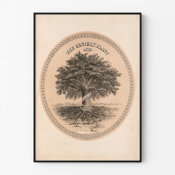 Vintage Poster of the Historical Tree The Century Plant 1876