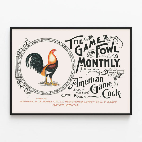 Vintage Poster American Rooster The Game Fowl Monthly — framed artwork on a wall