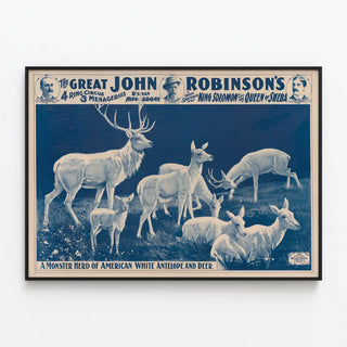 Vintage poster of Cirque John Robinson featuring a troupe of white antelopes and stags — framed artwork on a wall