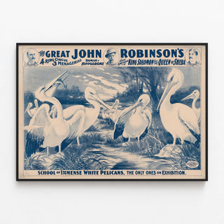 Vintage poster of the Grand Circus by John Robinson with White Pelicans — framed artwork on a wall