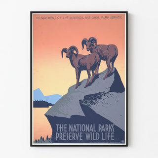 Vintage Poster of the National Park - Protection of Wild Fauna