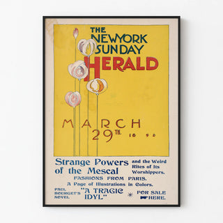 Vintage poster of The New York Sunday Herald, March 29, 1896
