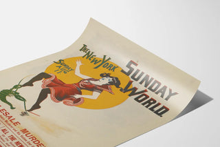 Vintage Poster The New York Sunday World