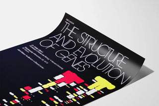 Scientific Poster The Structure and Evolution of Genes