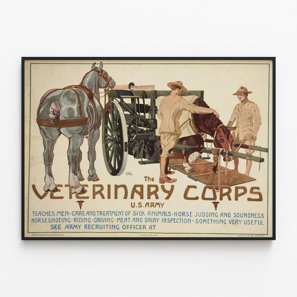 Vintage Poster of the Veterinary Corps of the American Army — framed artwork on a wall