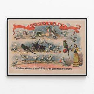 Vintage poster of the theater H. Abdy with dancing parrots — framed artwork on a wall