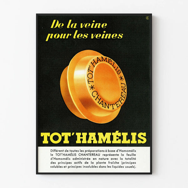 Vintage poster Tot'Hamélis Chantereau for wall decoration
