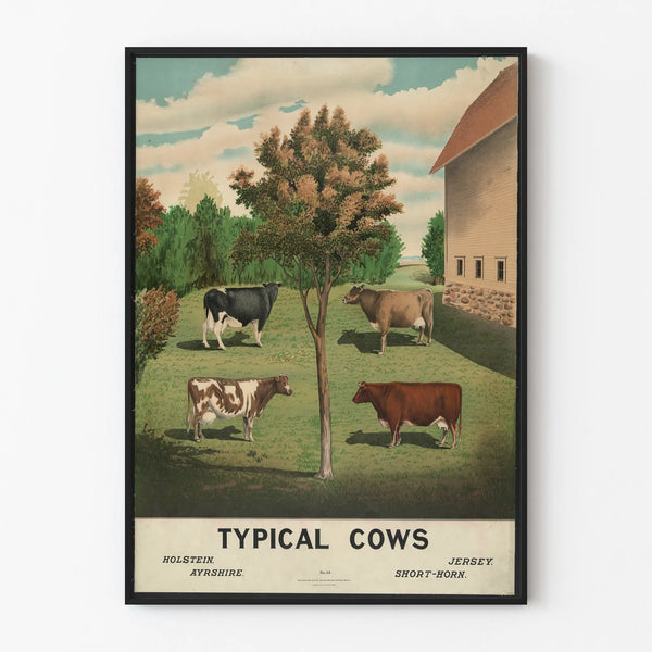 Vintage decorative poster of typical cows for wall decoration