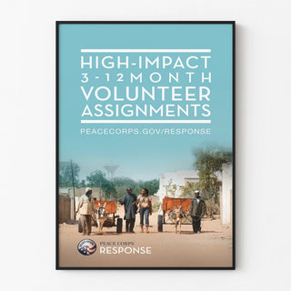 Wall Decoration Poster Volunteer Assignments for Humanitarian Engagement