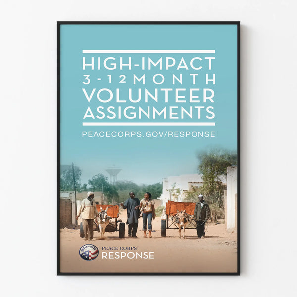 Wall Decoration Poster Volunteer Assignments for Humanitarian Engagement